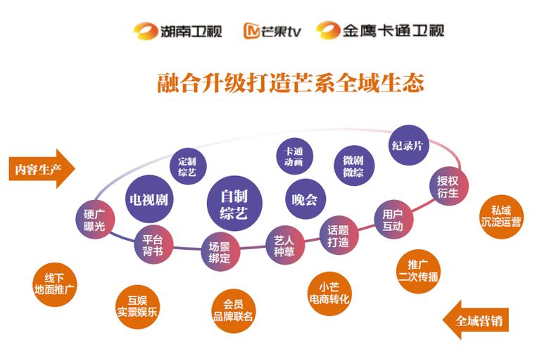 芒果tv国际版有啥区别