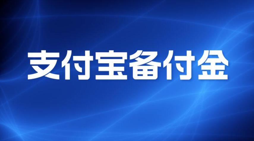 支付宝备付金账户给我转了一笔钱游戏截图