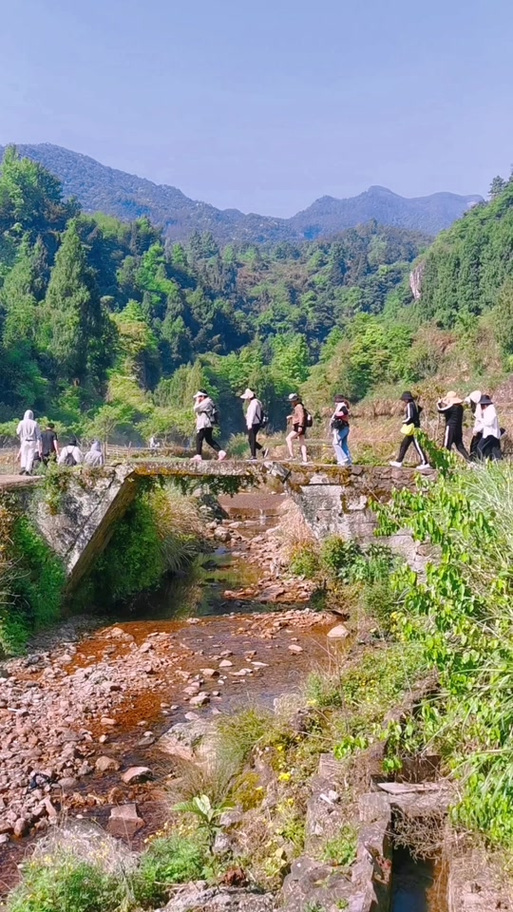 仙居红五截图