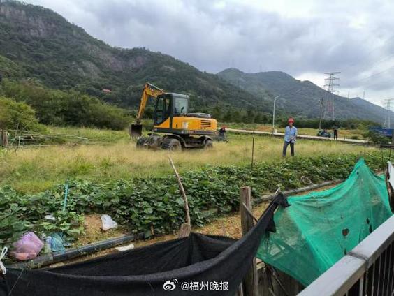 20年前建的养殖场算是违建吗图标