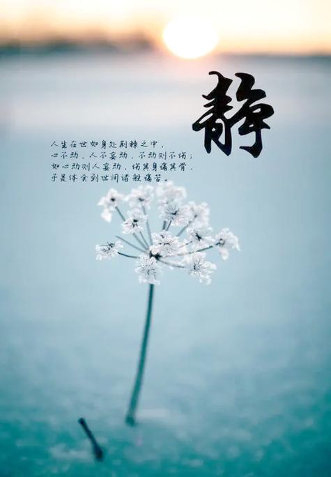 静心的唯美句子