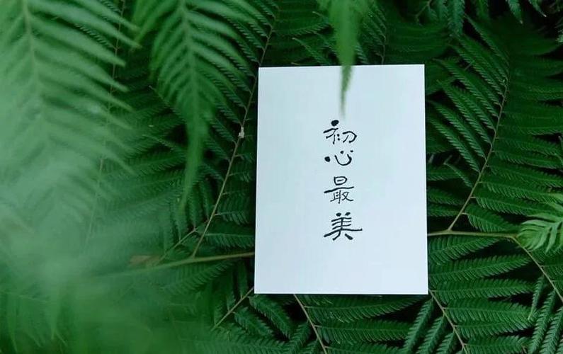 心田在佛教中的含义图标