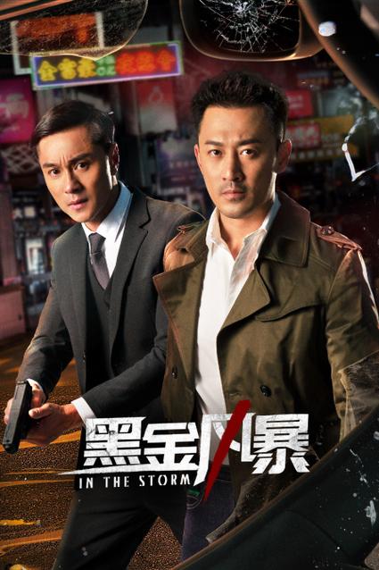黑金风暴2免费观看国语版