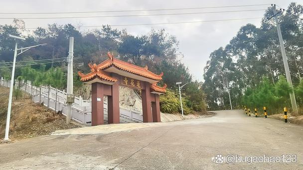 大揭阳APP图标