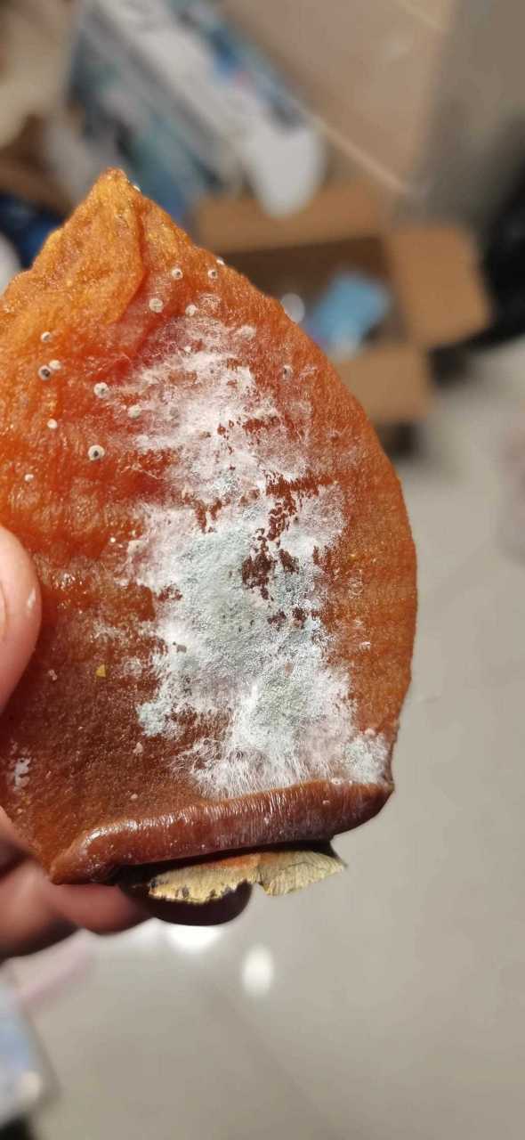 柿饼怎样算坏了截图