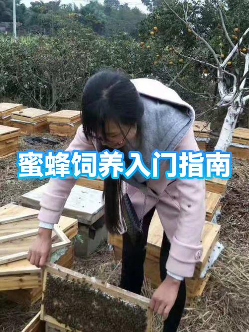 mc蜂箱怎么养蜜蜂缩略图
