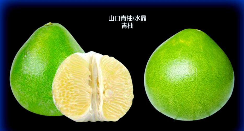 青柚阅读官网
