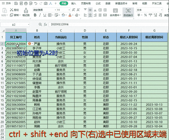 表格选择区域缩略图