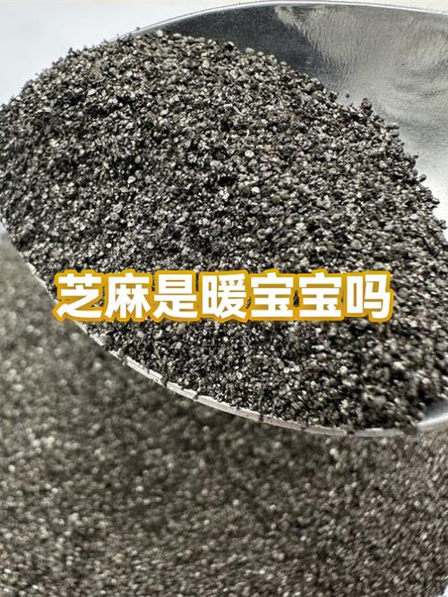 芝麻信用攒芝麻粒干嘛的图标