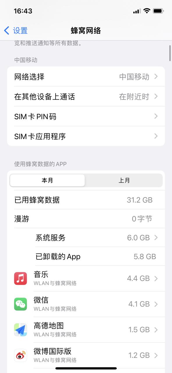 苹果手机流量是蜂窝数据吗图标