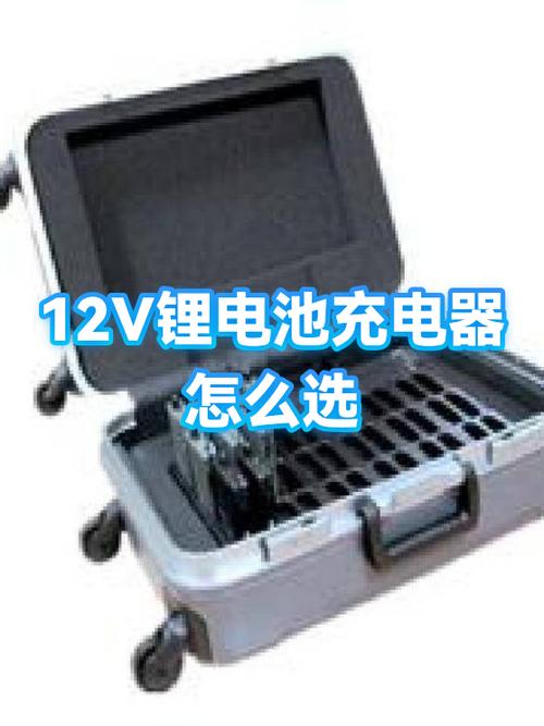 12v锂电池用多少伏充电器游戏截图