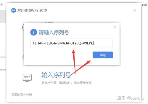 wps专业版激活码13.17缩略图