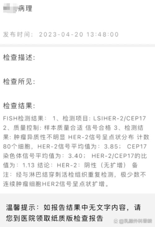 FISH检测是什么意思截图