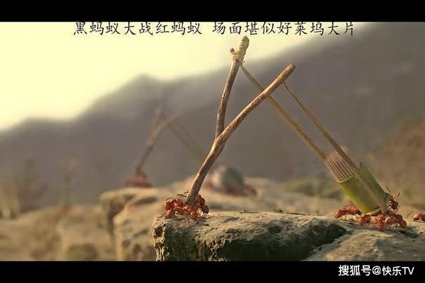 红蚂蚁影视大全缩略图