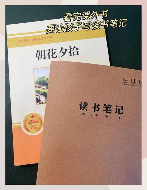 点点折花小说阅读图标