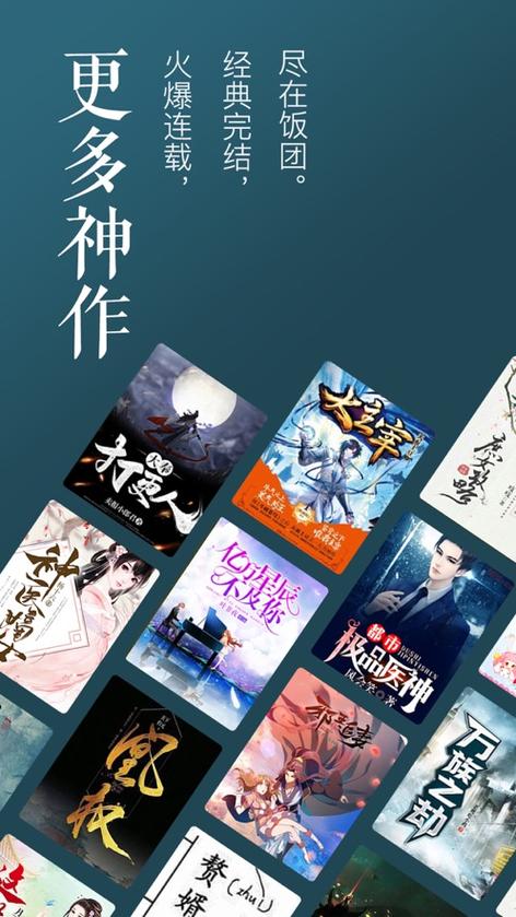 饭团探书免费版图标