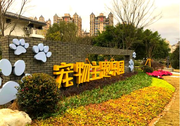 宠物有哪些可以养缩略图