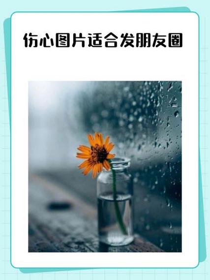 适合朋友圈的图片游戏截图