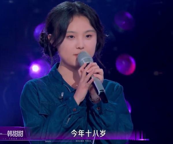 飞云之下韩甜甜现场视频图标