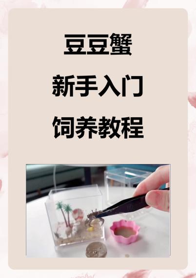 螃蟹喂养的正确方法缩略图