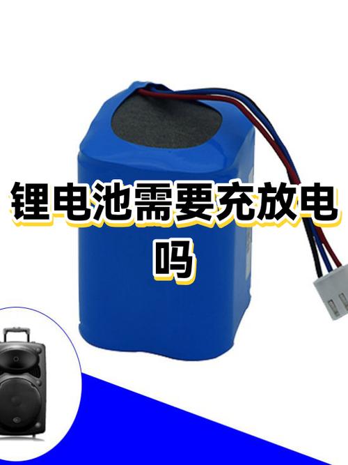 手机锂电池第一次需要用完再充吗游戏截图