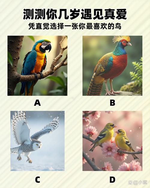 雏鸟破解无限制亮点