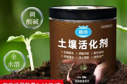 挖矿资源网