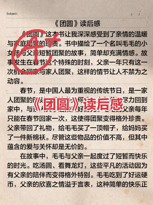大团圆未删减全文阅读