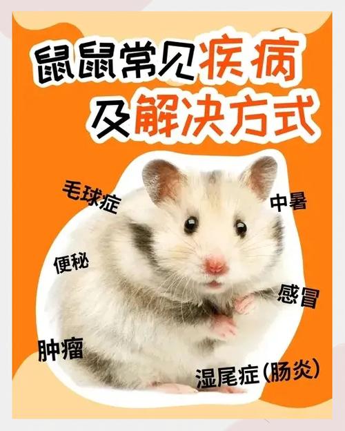 仓鼠脸肿了会自愈吗