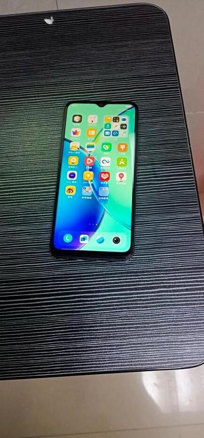 vivos1和VⅰV0Y36缩略图