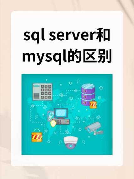 学mysql还是sql server截图