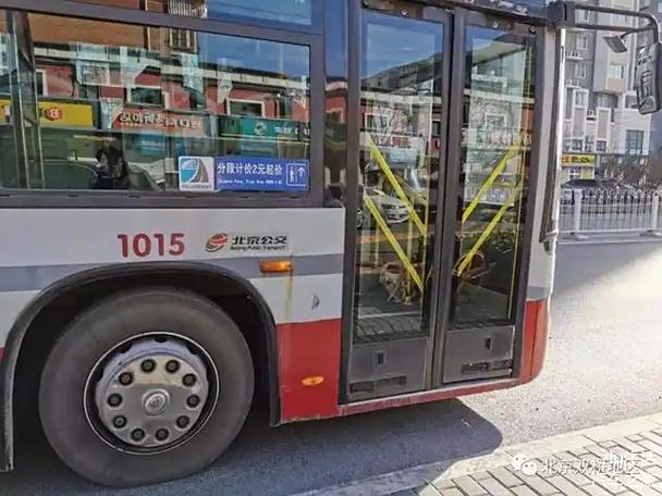 车辆托运哪个平台好截图