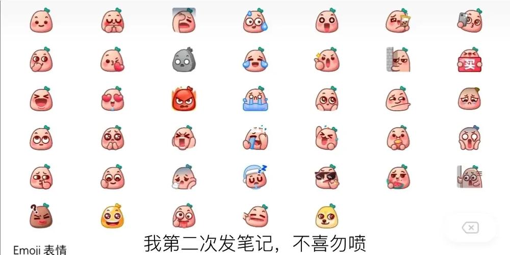 小红书表情包的含义截图