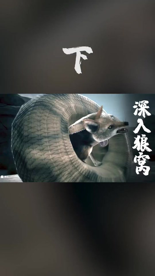 杀手二勾魂狒狒截图
