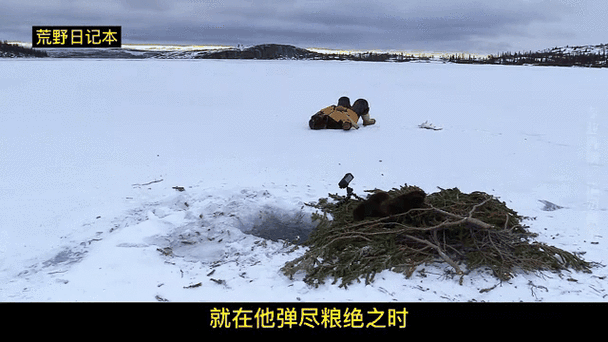 荒野求生日记珍珠缩略图