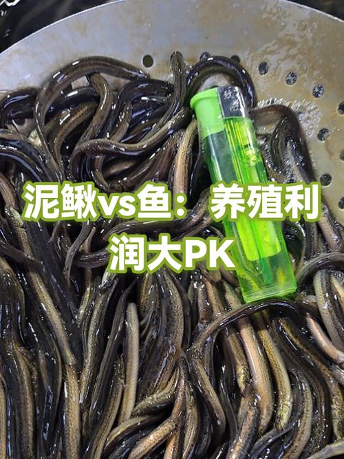 养鱼有利润吗截图