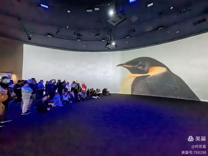 南极影院缩略图