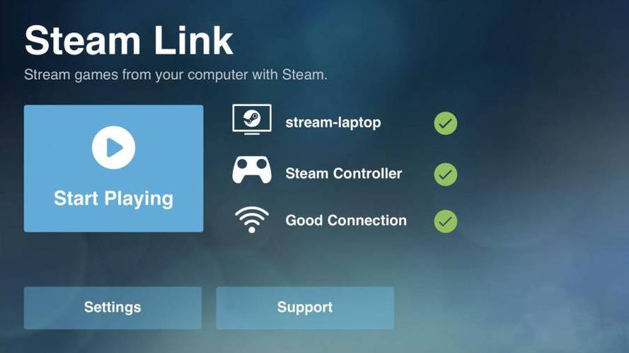 steamlink手柄设置图标