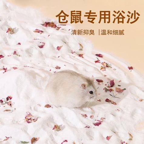 仓鼠气味大吗缩略图