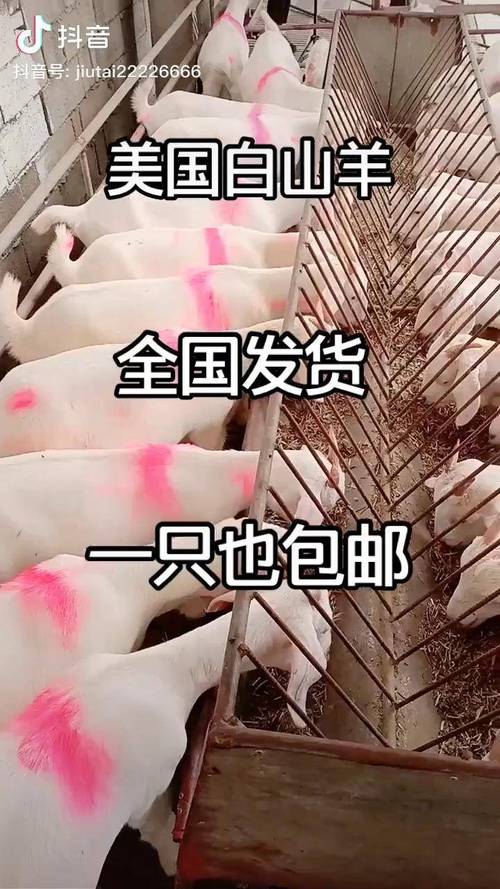 奔小康最新下载链接缩略图