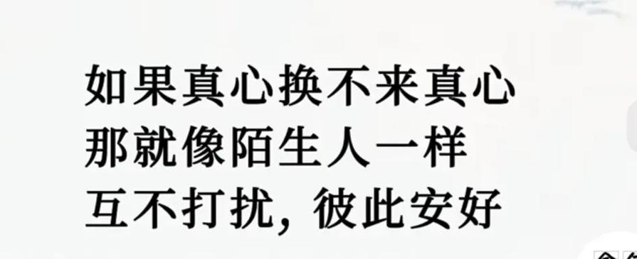 真心换不回真心的经典句子游戏截图