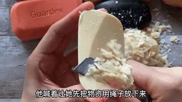末日重生切肥皂视频大全游戏截图