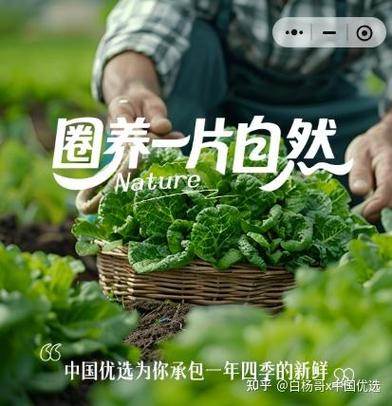 vivo系统升级有必要吗