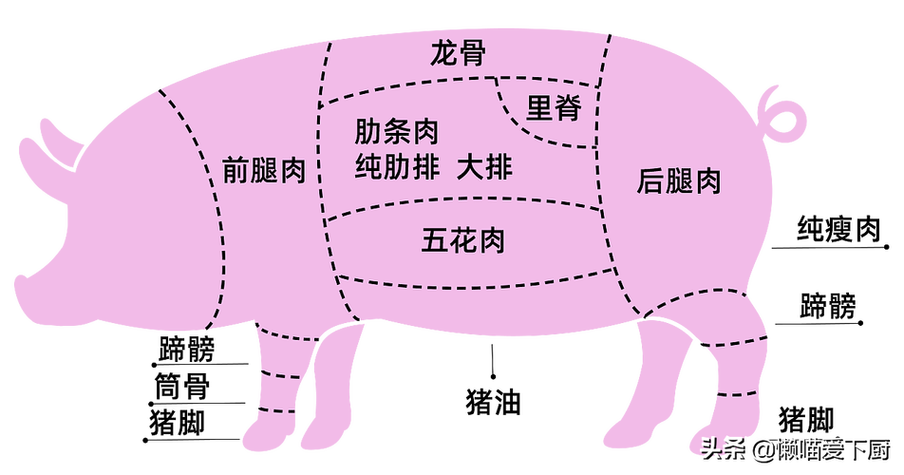 猪排是哪个部位
