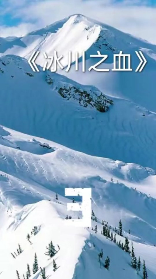 冰川小说app入口