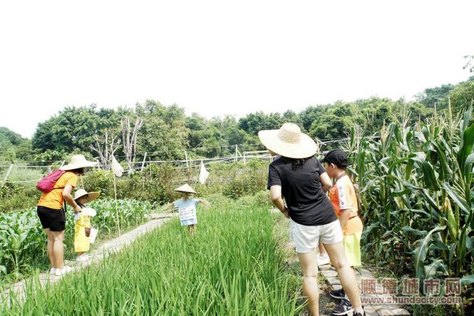 开物未来庄园缩略图