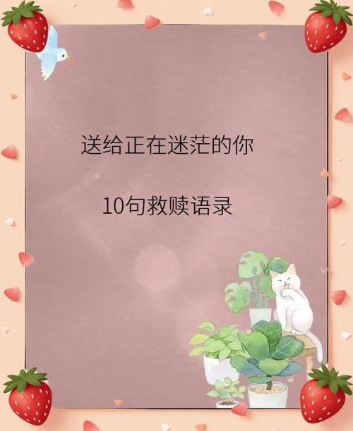 小号没绑定任何东西忘记密码截图