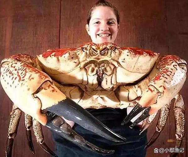 最大螃蟹十大排名图标