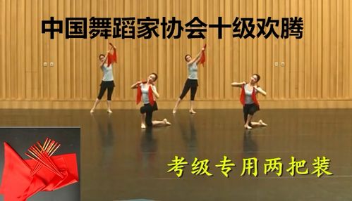 中国舞蹈家协会最高几级