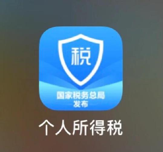 个人所得税app免费下载安装图标